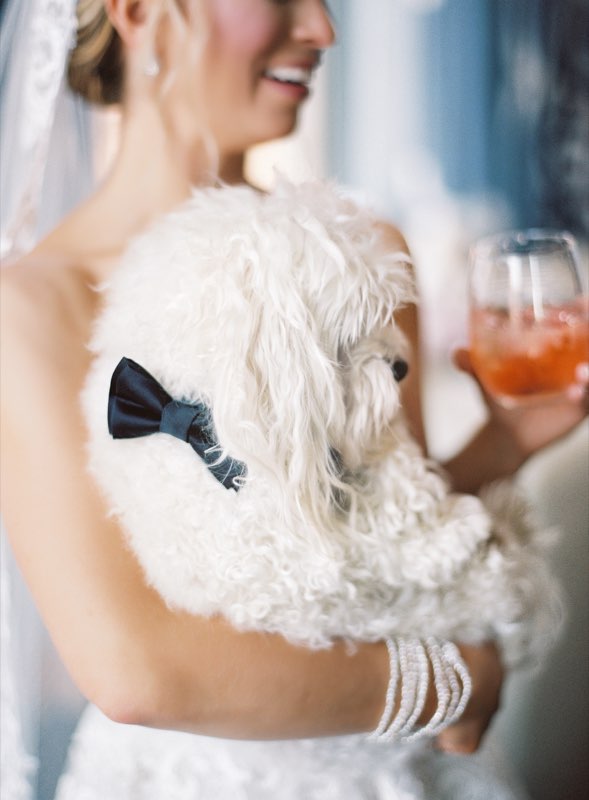 Bride holding a cocktail with her fluffy white dog on her wedding day